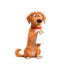 Koda