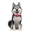 Volk